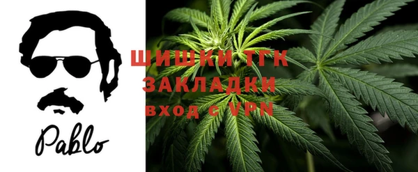 apvp Вяземский