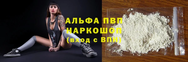apvp Вяземский
