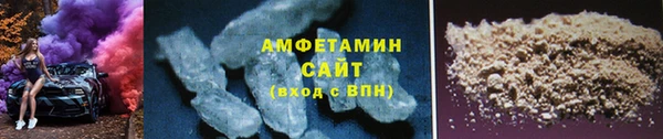 индика Сосновка