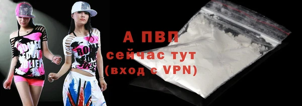 apvp Вяземский