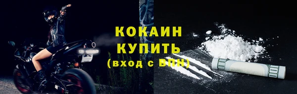 apvp Вяземский