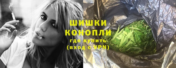 apvp Вяземский