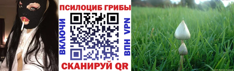 где купить   KRAKEN tor  Галлюциногенные грибы мицелий  Ирбит 